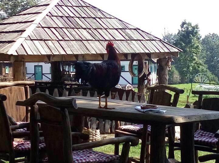 Farm Stay Cardaklije Кулен Вакуф Экстерьер фото
